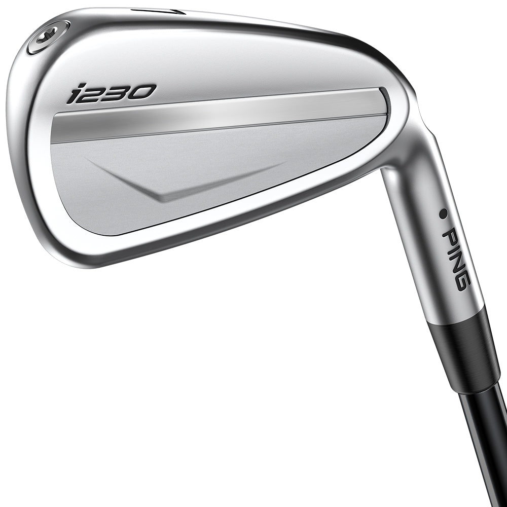 Copy Of PING i230 Irons Steel (CST Irons 1)